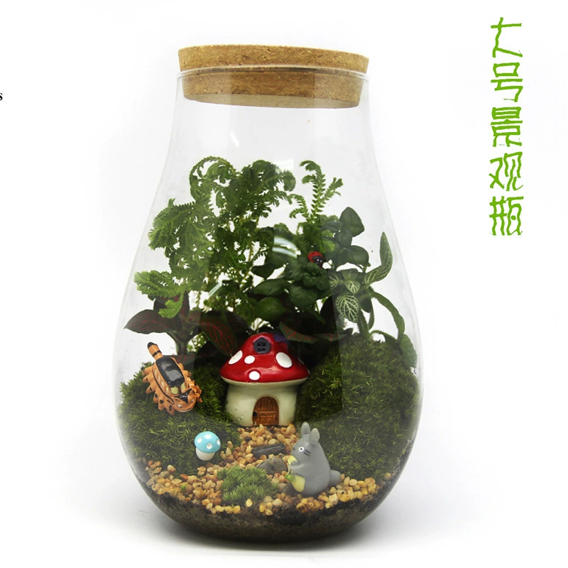 Микро пейзаж экологическая бутылка ремесло модные высококачественные украшения пасторальные микропейзаж экологические садовые вазы производители оптом