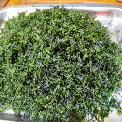 2018年新茶 小葉苦丁 青山綠水茶産地直銷 毛冬青 嫩芽茶葉