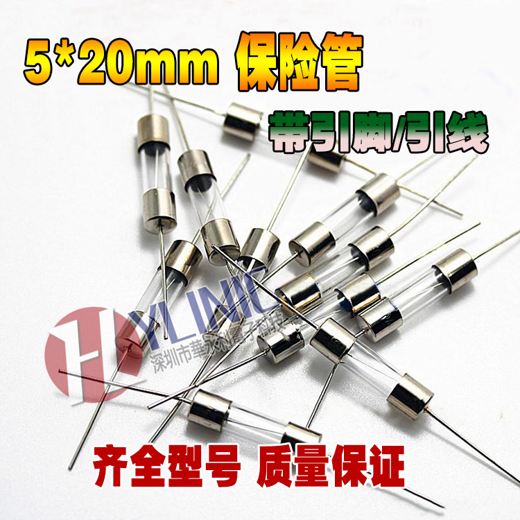 大 5*20 带脚/引线 保险丝 10A 快断 F10AL 250V (20只)