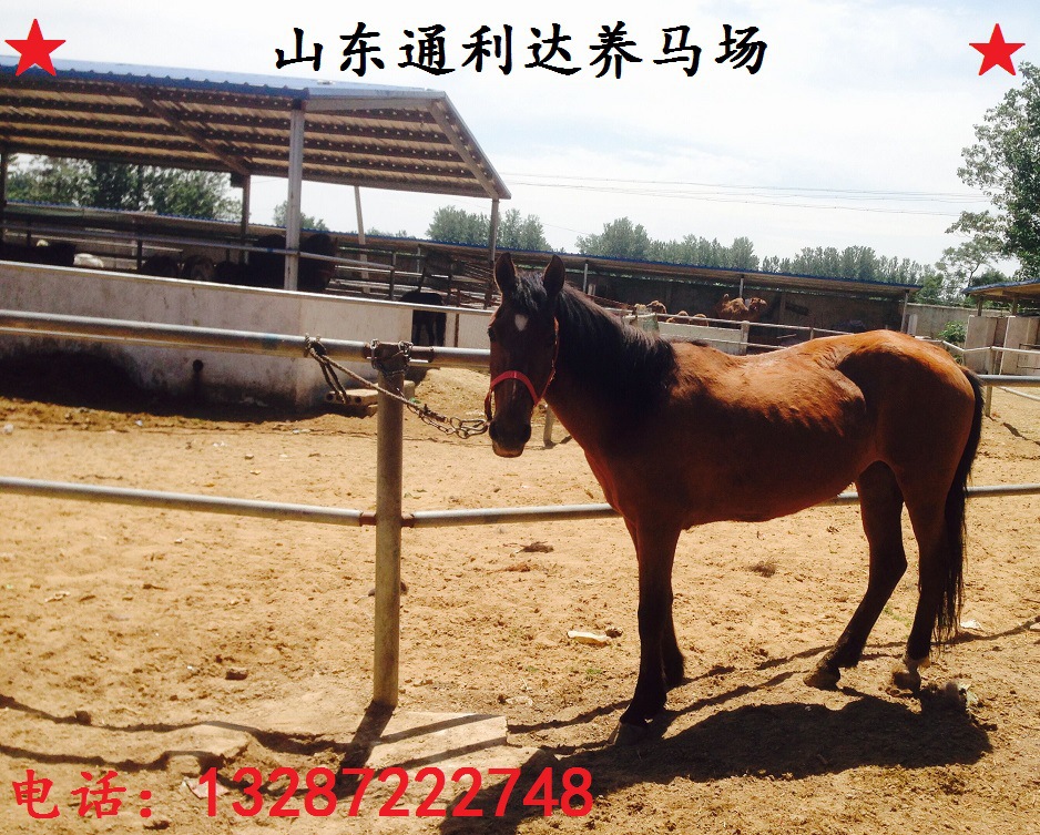 QQ图片20160521112846