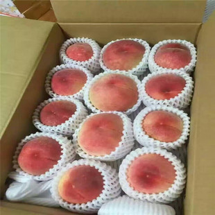 �������x�˶�����Ʒ�N �Ҿ��Ҙ���ăr�� �Ҙ���