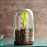 Чай, универсальная система хранения, ящик для хранения