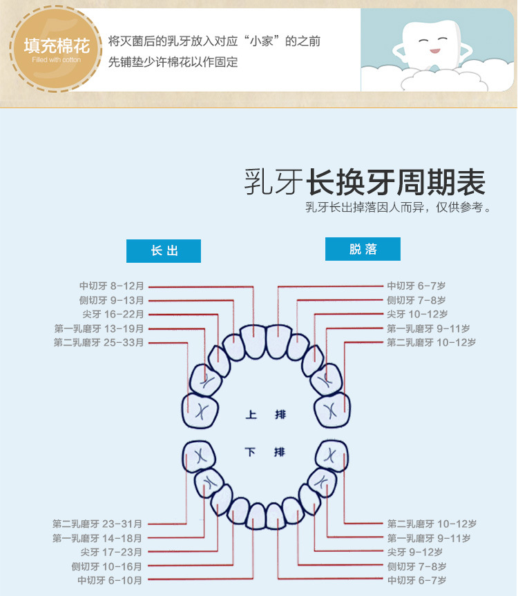松木12星座乳牙盒详情_15