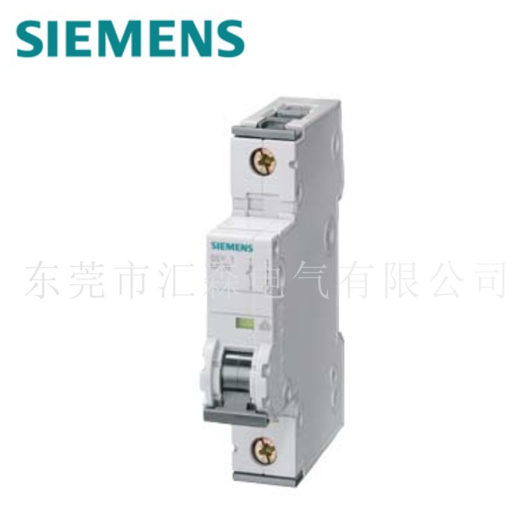 SIEMENS原装正品西门子5SY6240-7CC(2P C40)小型短路器