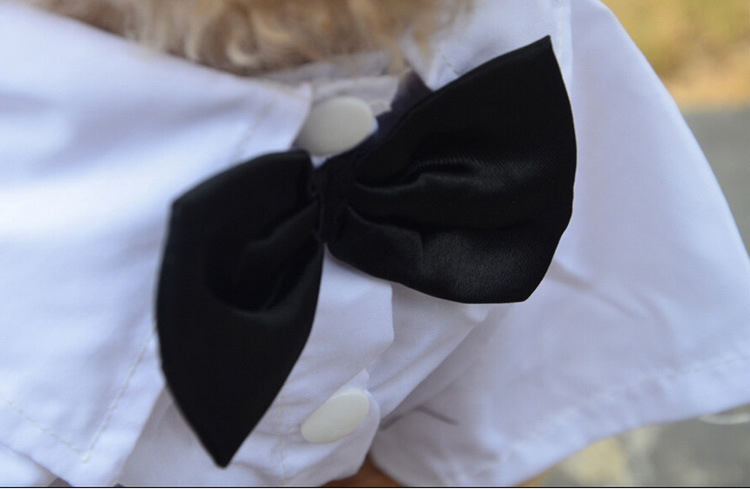 Formal Pet Jumpsuit with Bow Tie