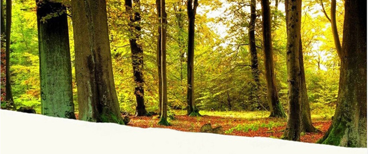 厂家直销简约现代实木床1.8米榉木床 精品实木卧室家具双人床批发