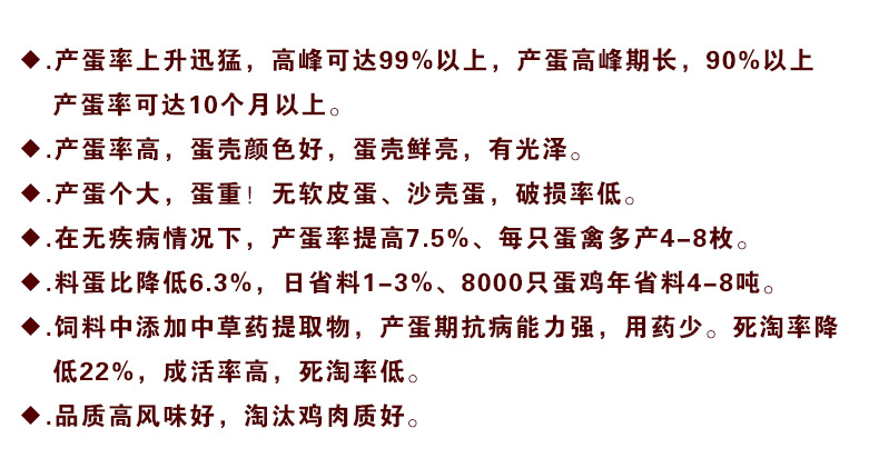 蛋鸡详情页5