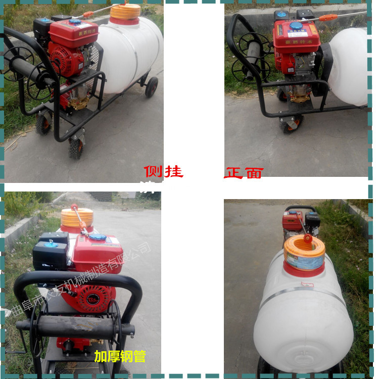 果树手推式汽油喷雾器 高压打药机 手推式汽油打药车