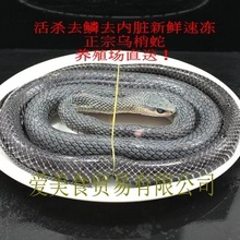 蛇肉价格_最新蛇肉价格\/批发报价_蛇肉多少钱