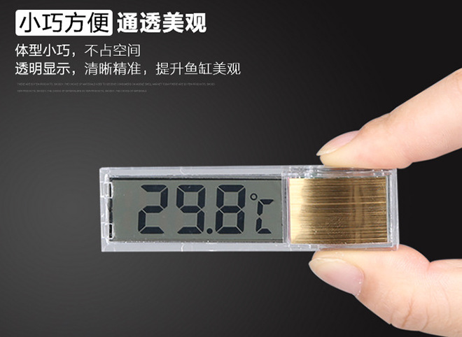 QQ图片20160526180534