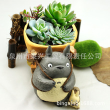 �������m���ETotoro�������؈���t�ռ{��Ͳ����ֲ����֬����