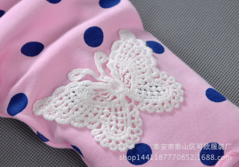 粉點蝴蝶細節1