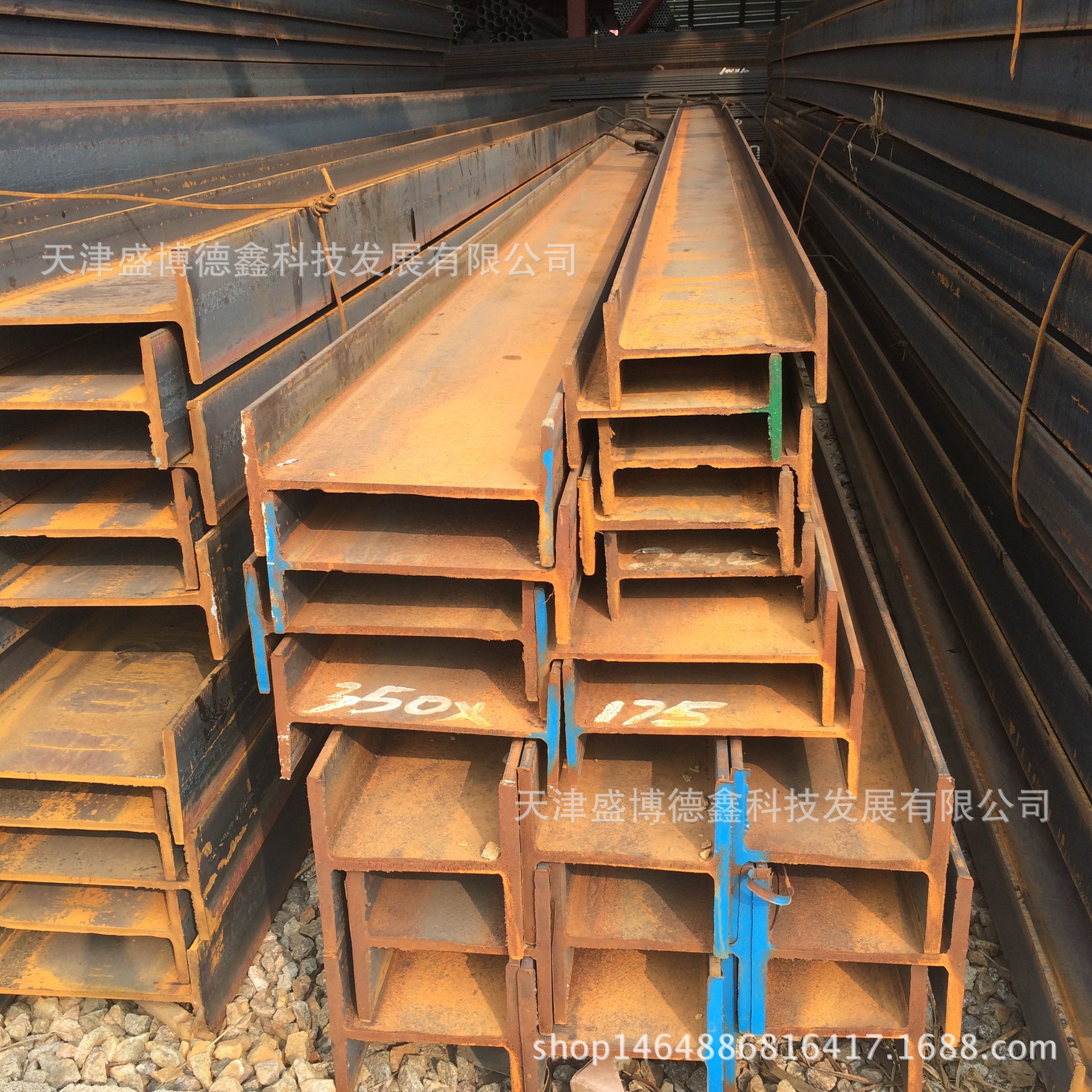 3211148391_740228820