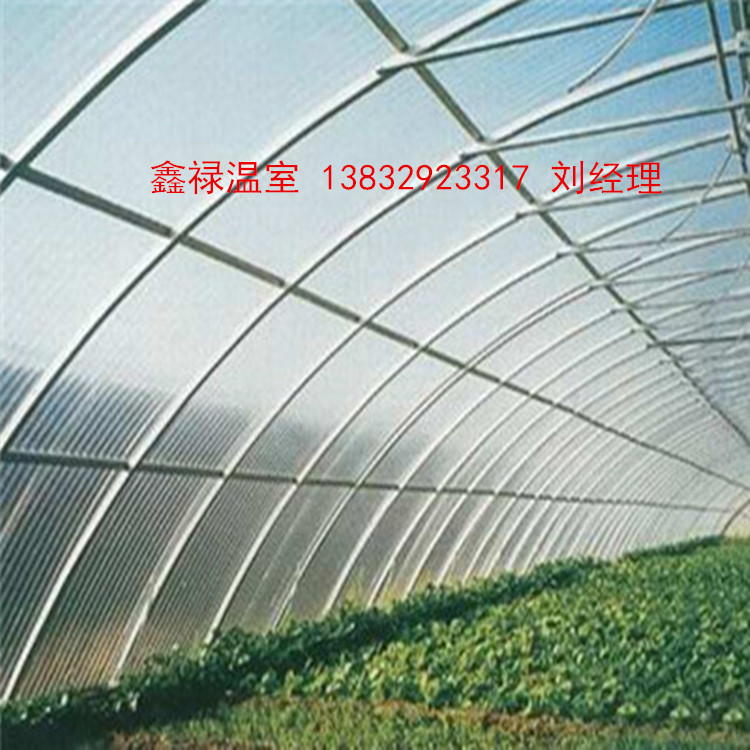 4e9f57138afabd4a5c4fbfe70afd11