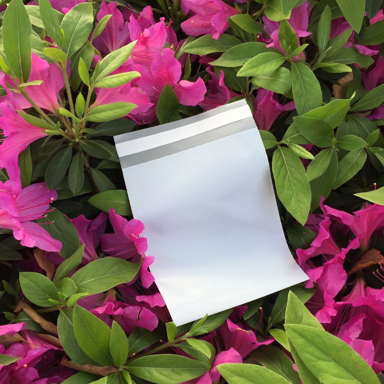 QQ图片20160418164257