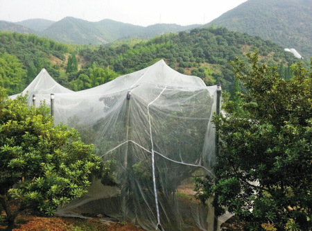 防虫网40目防蚊网 大棚防虫网、江西防蚊网