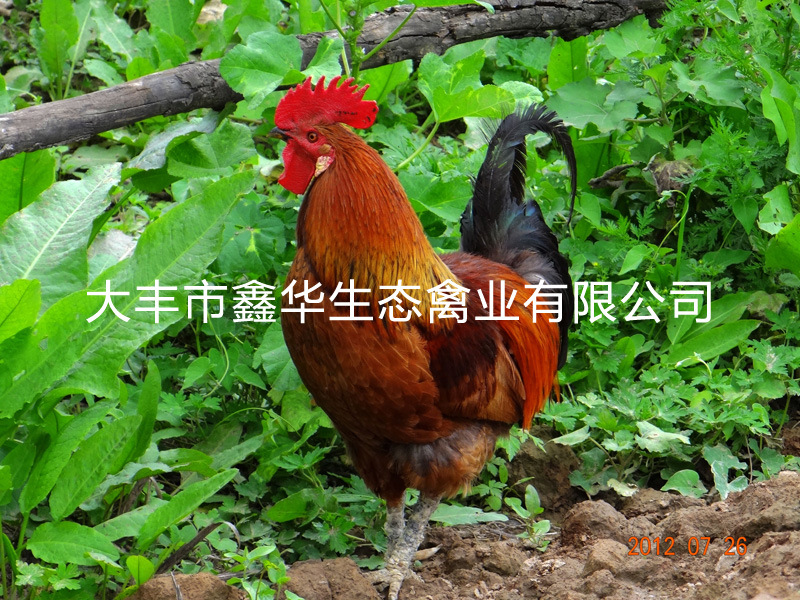 改1 2