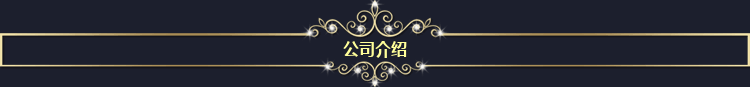 公司介绍