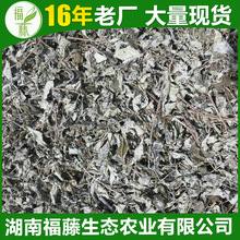 顯齒蛇葡萄葉 藤茶 提取物原料  袋泡茶原料  二氫楊梅素原料