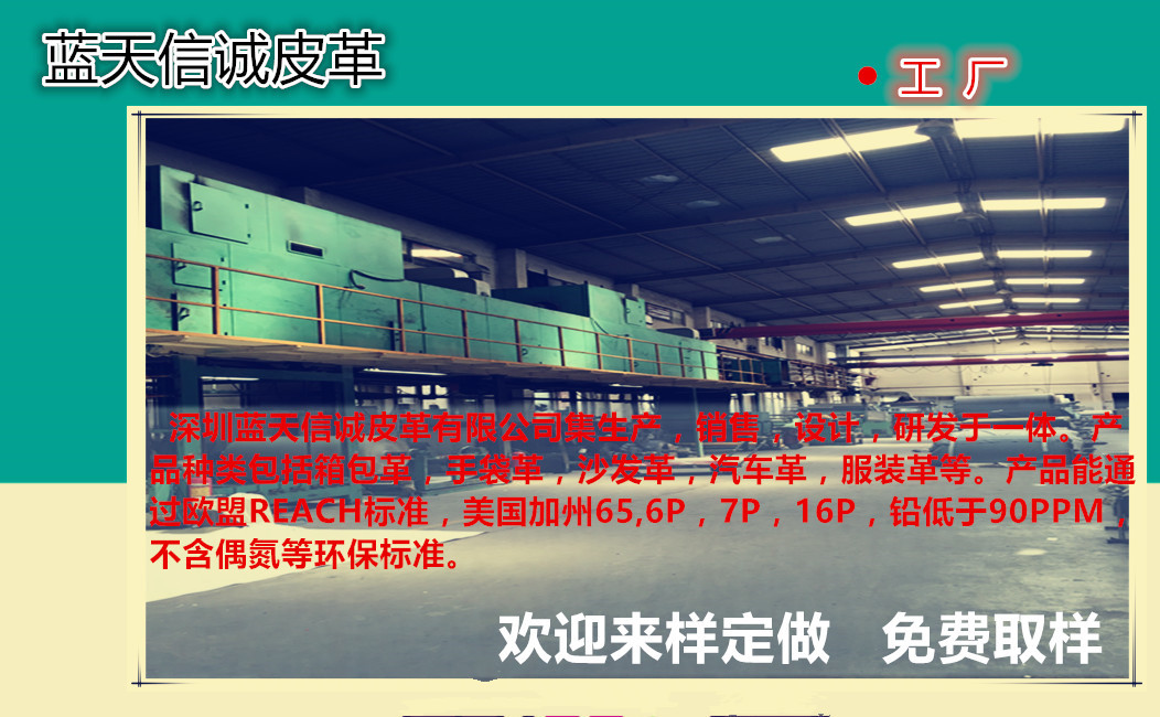 IMG_3064_副本_副本