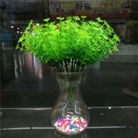 仿真植物仿真水草盆栽 绿色小盆景 居家装饰会堂布置 摄影道具