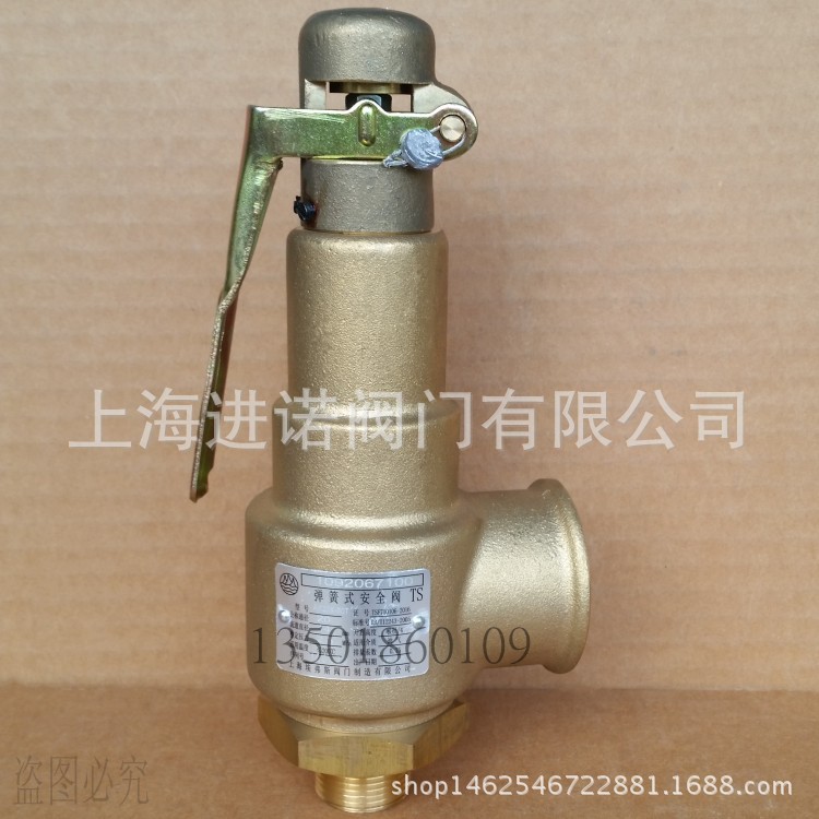 AK22X-40T 弹簧式安全阀 DN15 20 25 32 40 50上海埃弗斯46524831