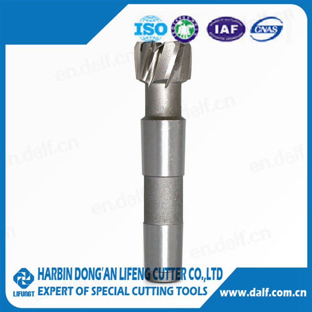 【利峰非标刀具】成型铣刀  高速钢铣刀 6刃 非标刀具 厂家直销