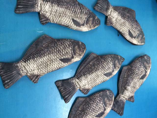 E4C5E3AAA72DC21297796FEBCD8DB8