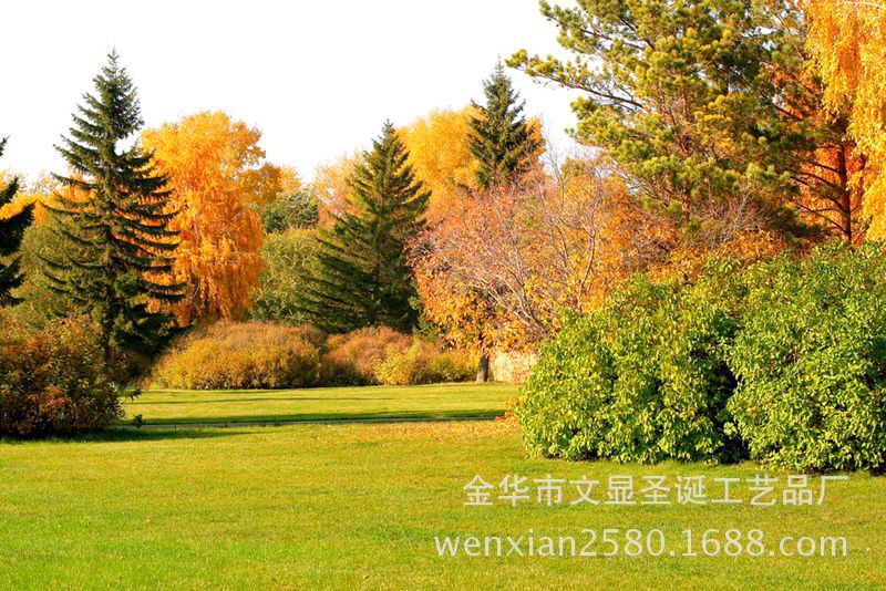 9290BB74AEB23A6808CD7DF6C7D7EE