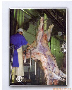 牛屠宰设备,牛剥皮机,牛白脏输送线,牛步进机,牛屠宰翻板箱