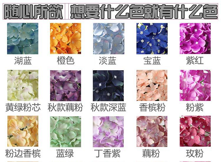 绣球豆花（单节）_13