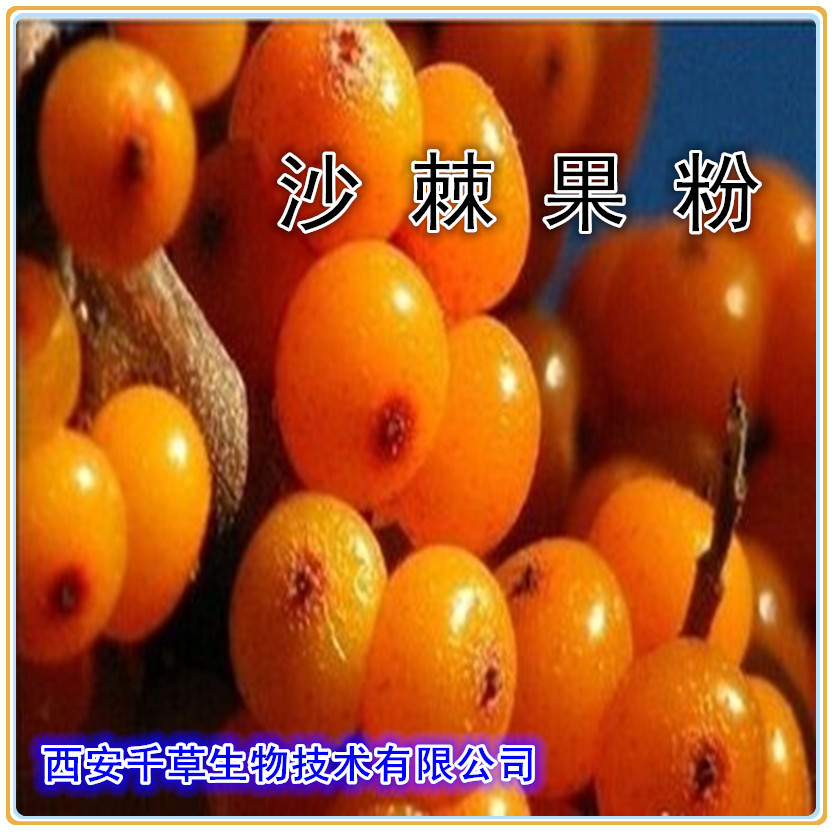 沙棘果粉