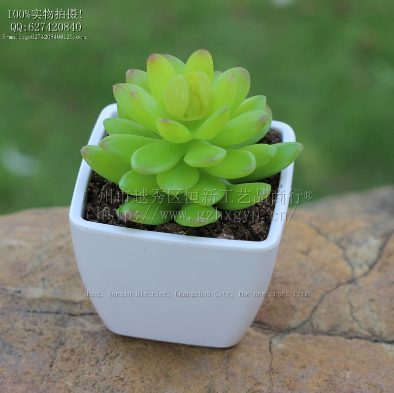 1359133e2da335f6f798526cf00ed2