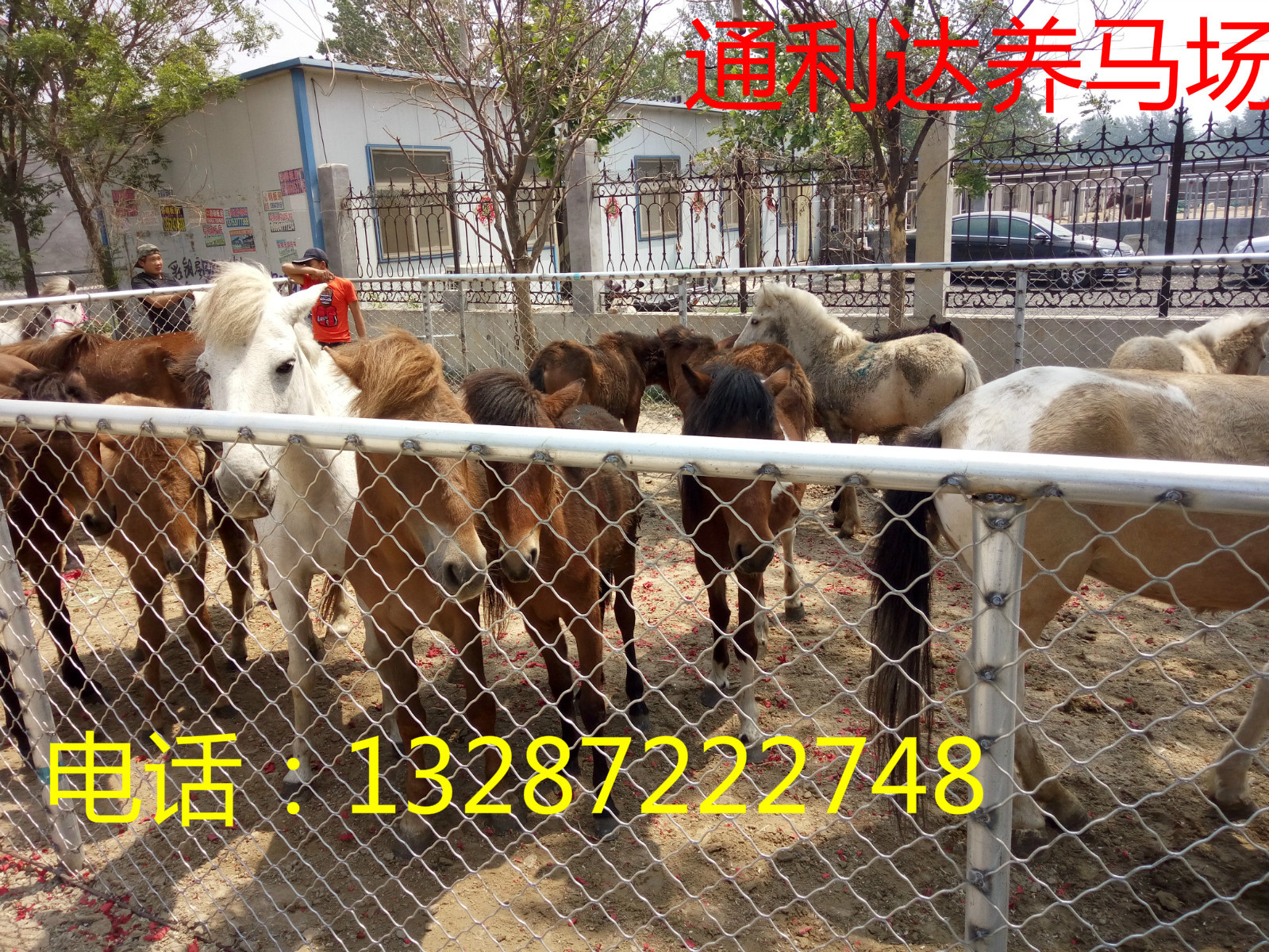 IMG20160429114022_meitu_7