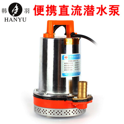 厂家直销60V微型家用直流潜水泵电瓶车水泵电动车船用水泵抽水机|ms