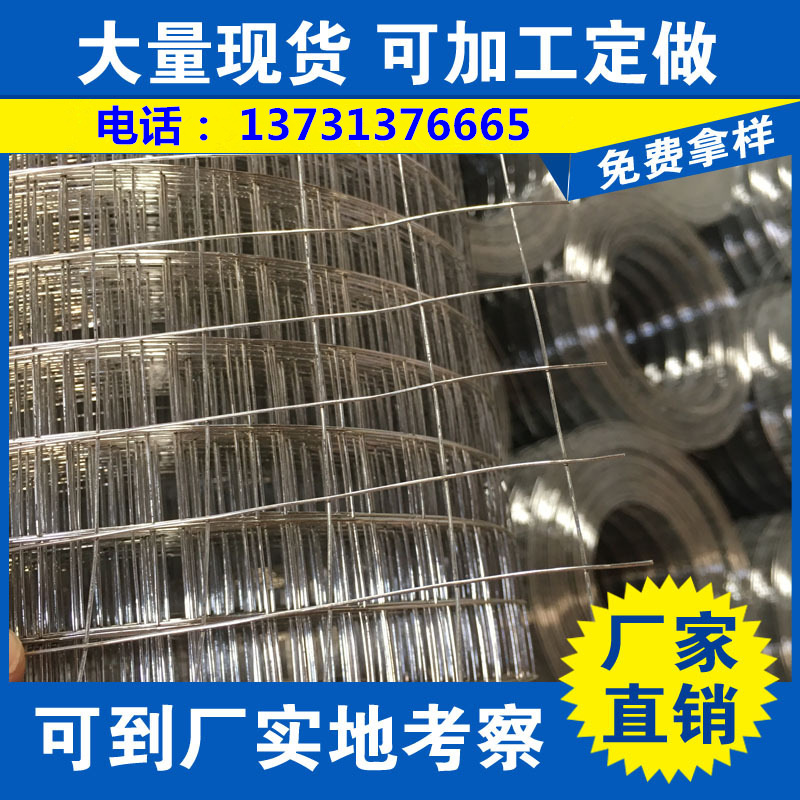 圈玉米镀锌电焊网 养殖网 建筑用抹墙网 粉墙铁丝网 量大供应