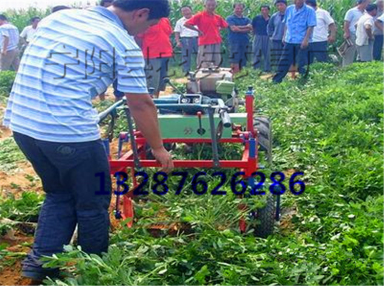 QQ图片20150803144108