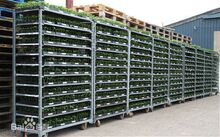 ����̨܇  ���ý�䓡�C��䓡�����