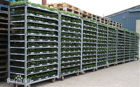 花卉台车  专用角钢、C型钢、立柱