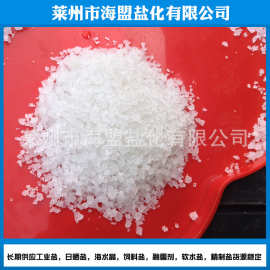 批发腌制加工用小白盐粉碎盐日晒盐食用盐海盐