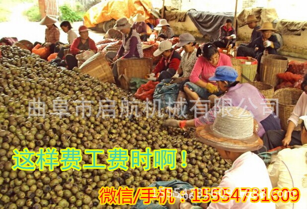 核桃脱皮机 青核桃剥皮机设备 核桃脱皮粗精洗一体机