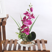 ���N�¿��軨���滨��ˮ�辰����ֲ����辰�҃��b�粼����Ʒ���l