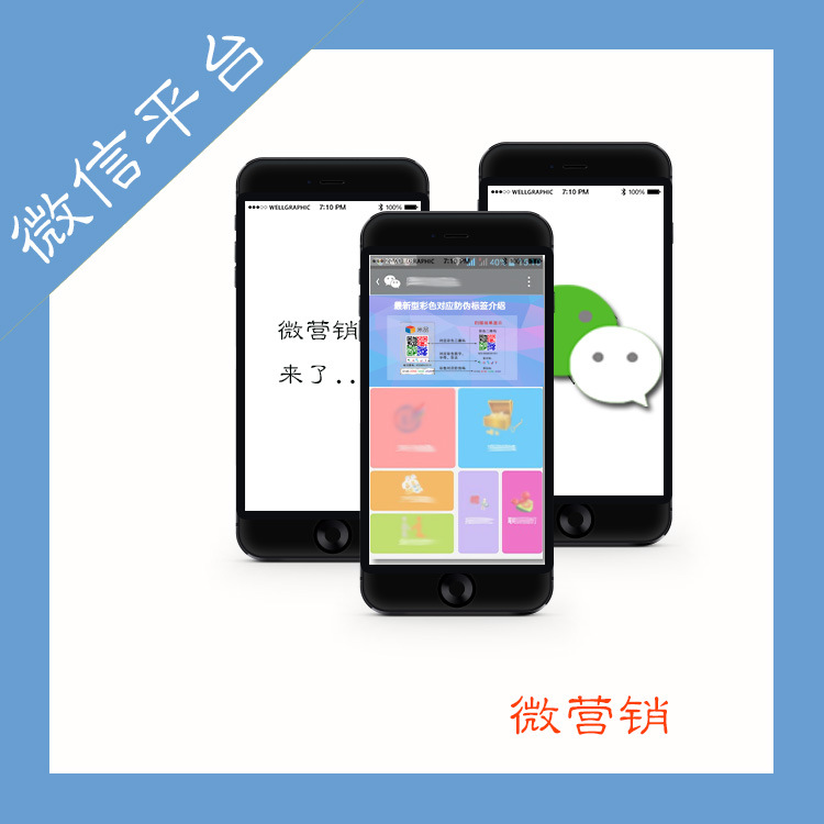 WeChat Public Marketing development Software Micromall System Official website platform Website