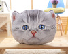 Detachable cartoon pillow, realistic cute plush toy, kitten