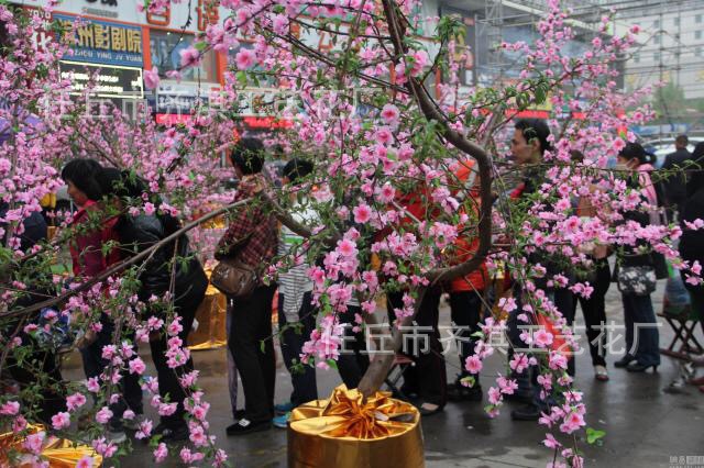 仿真桃花枝家居装饰花塑料假花粉色仿真梅花樱花园林大树绿化工程详情29