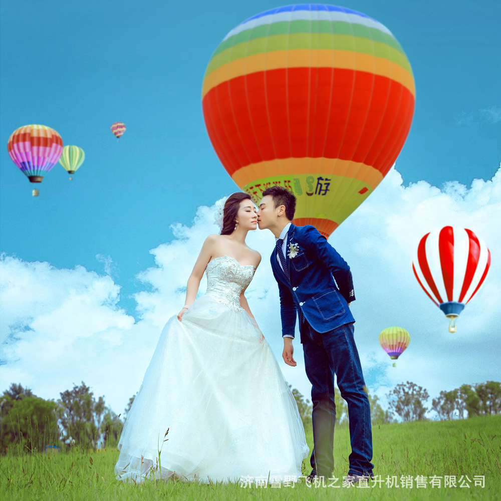 ũҵ����ũ����ҩ�������Ϳ�ң�ط���ֲ��ֱ�����ɻ�