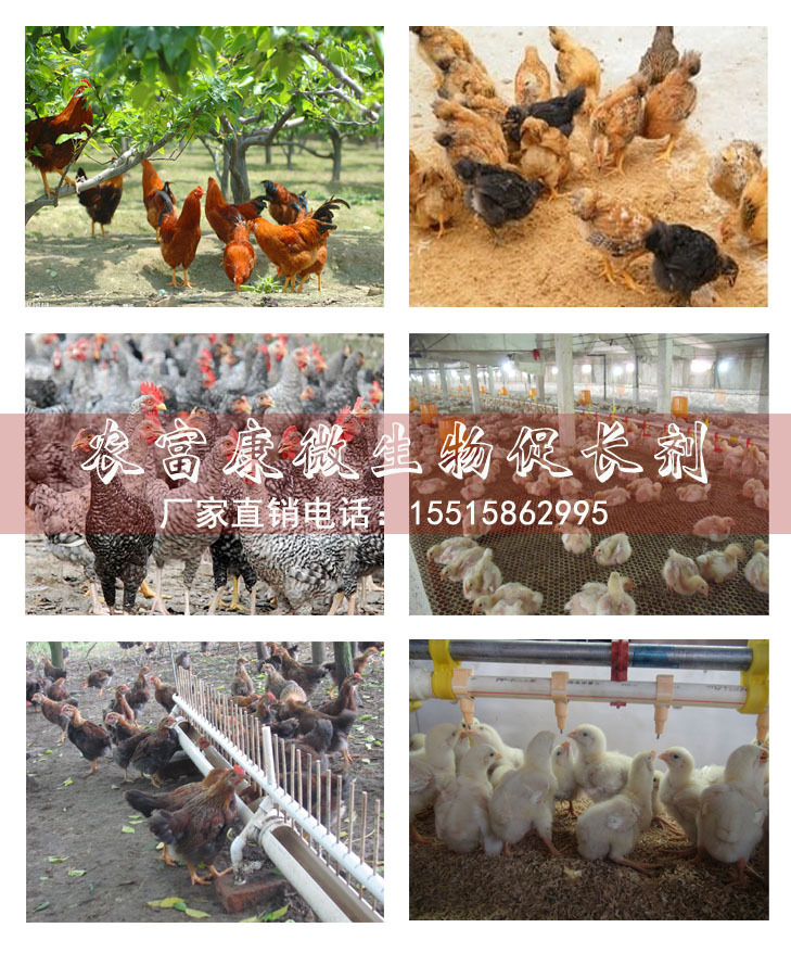 微生物促长剂
