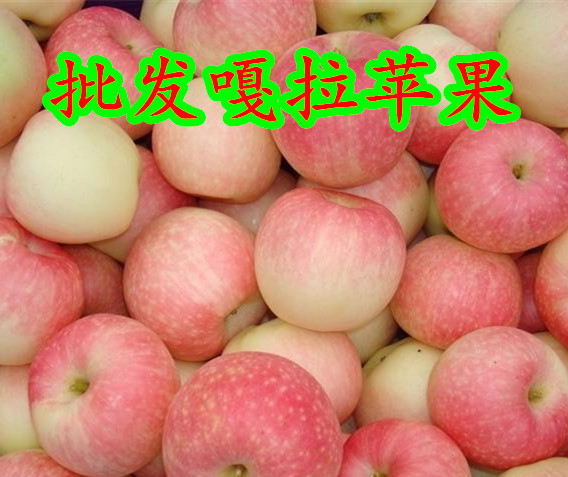 點(diǎn)擊打開原圖 undefined