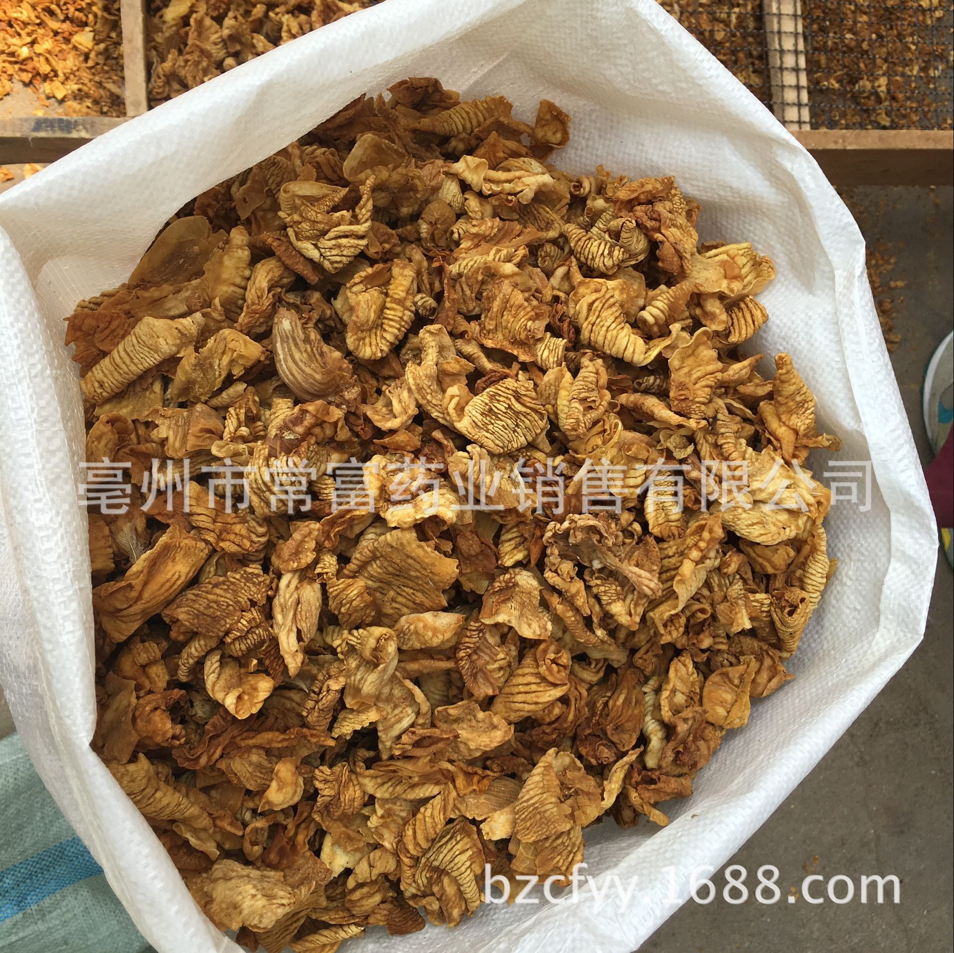 Chicken Gizzard Membrane Powder Ji Nei Jin 500g Traditional Herbal Supplement for Digestive Wellness in use