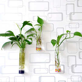 创意简约现代墙壁透明玻璃水培插花器时尚家居绿植圆柱形壁挂花瓶